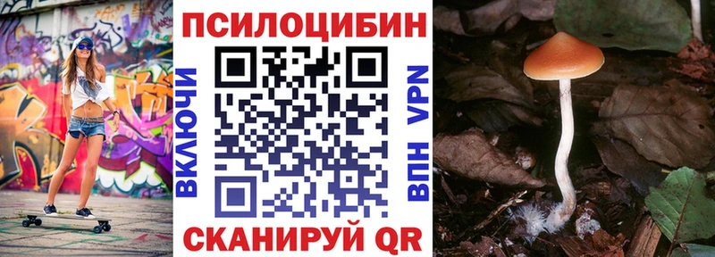 Купить где  Волгодонск  Псилоцибиновые грибы прущие грибы 