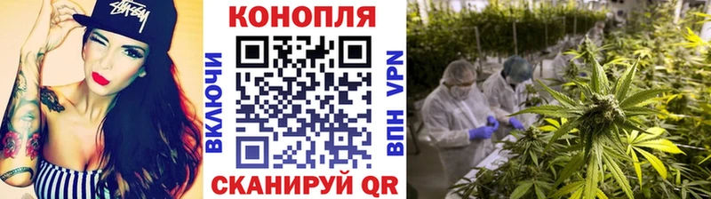 Бошки марихуана MAZAR  Купить закладки  Волгодонск 